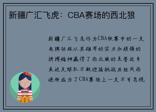 新疆广汇飞虎：CBA赛场的西北狼