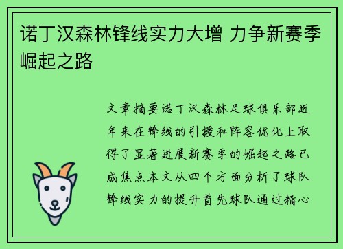 诺丁汉森林锋线实力大增 力争新赛季崛起之路